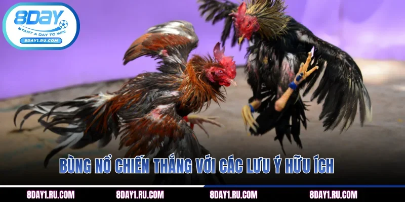 Bùng nổ chiến thắng với các lưu ý hữu ích